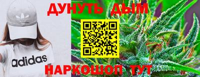 mdpv Краснознаменск
