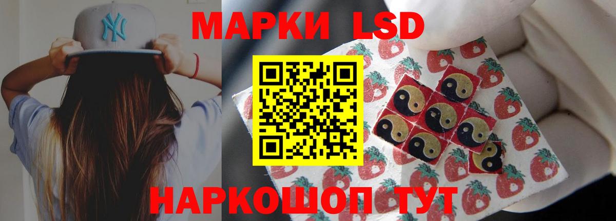 Карачаевск  ЛСД экстази ecstasy  ЛСД экстази ecstasy  ЛСД экстази  Вход с VPN 