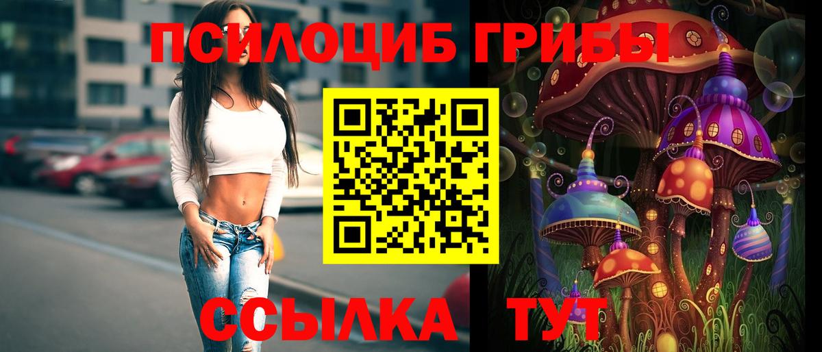 Карачаевск  Псилоцибиновые грибы мицелий  Псилоцибиновые грибы Cubensis  Вход с VPN 